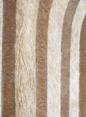 Bruin Beige Schilderij Met Haren En Lijnen