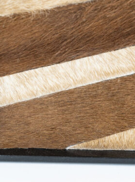 Bruin Harig Schilderij Met Beige