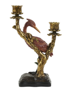 Gouden Kandelaar Vogel Met Rood En Zwarte Poot