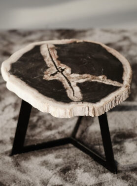 Kleine Salontafel Lichthout Versteend