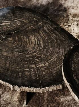 Ovaal Vorige Salontafel Met Houtnerven