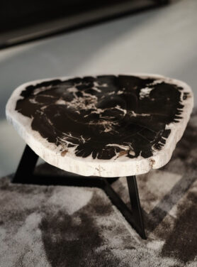 Zwarte Driepotige Salontafel Versteend Hout