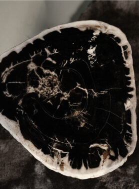 Zwarte Met Lichthouten Salontafel Versteend