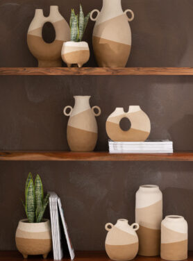Beige Organische Vazen Op Houten Planken