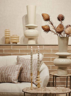 Beige Vazen Met Beige Interieur