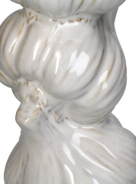 Knoflook Vormen Witte Kleur