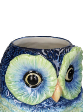 Blauw Uilen Vaas Met Grote Ogen En Oranje Snavel