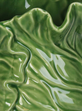 Details Groene Vaas Blad Tak Strutuur